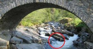 feshiebridge